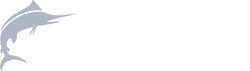 Blue Ocean Capital Logo